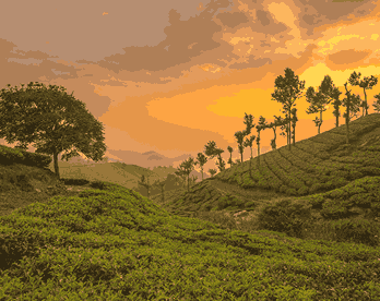 KERALA